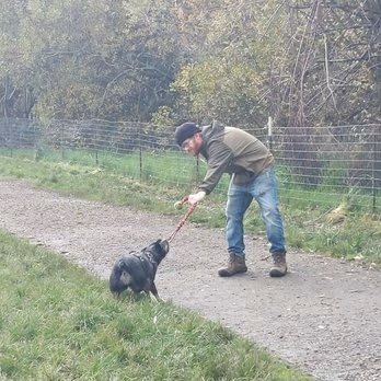 Dog Park at Wayne Morse Family Farm photo 1